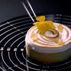 Elektrická točna k dekoraci dezertů a dortů SPINNER