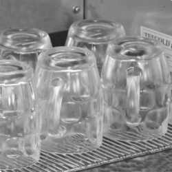 Mrazicí skříň prosklené dveře TEFCOLD GF 200 VSG